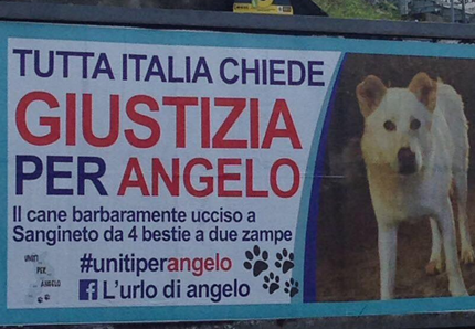Il cane Angelo rivive al cinema