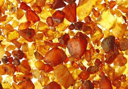 La chiocciola rimasta nell'ambra 99 milioni di anni