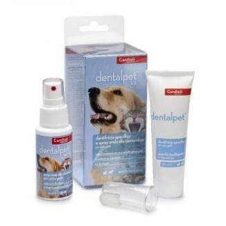 Candioli Dentalpet kit