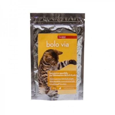 CandioliCandioli Bolo via snack