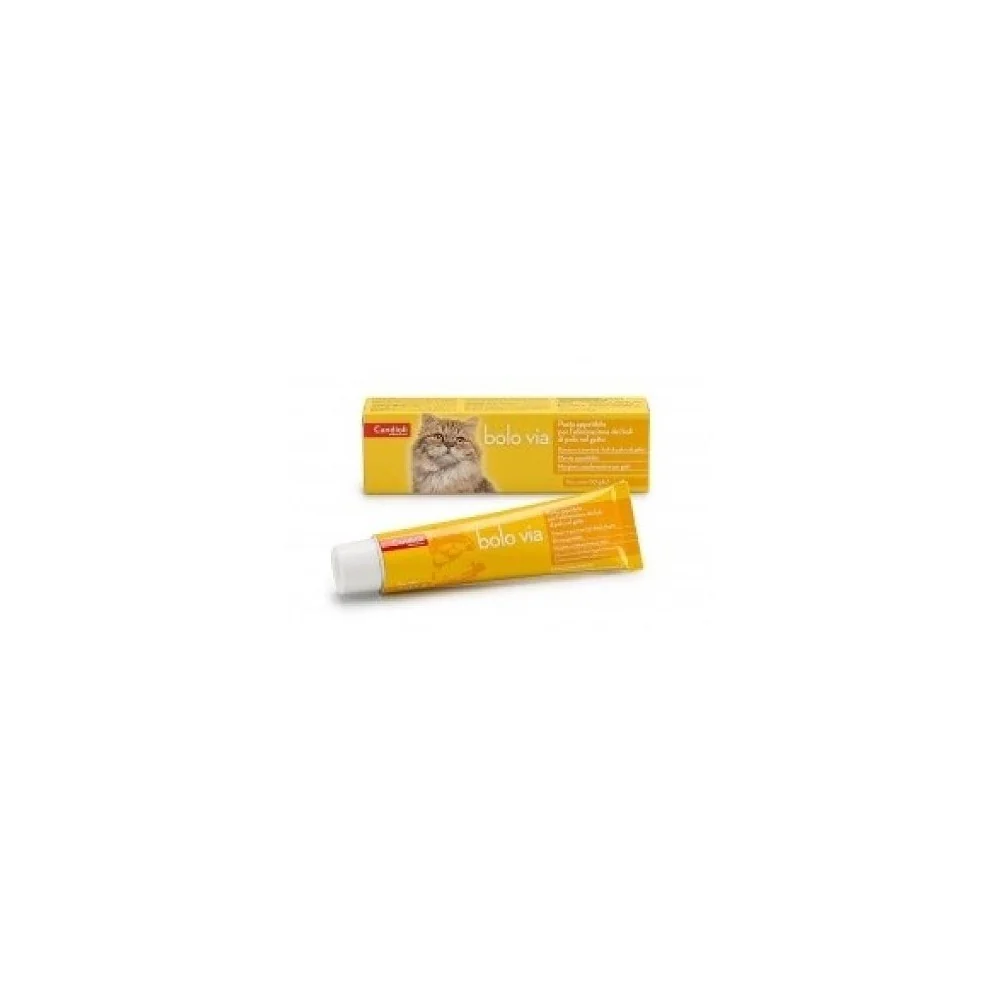 CandioliCandioli Bolo via pasta
