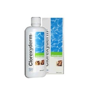 ICF Clorexyderm shampoo