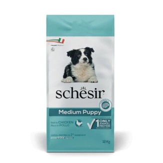 Schesir Medium puppy (pollo)