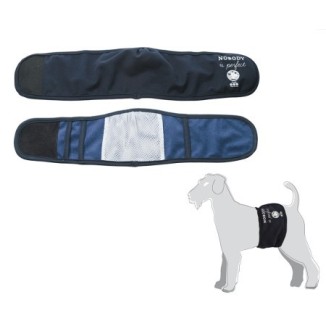 Camon Fascia igienica per cani maschi