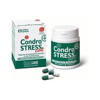 Innovet Condrostress Plus Cat