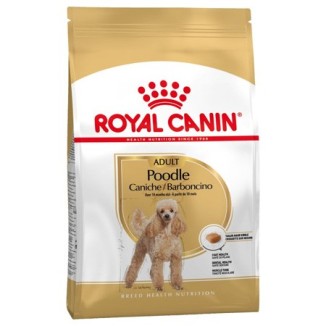 Royal Canin Barboncino Adult