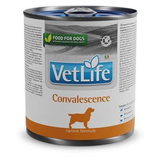 Farmina Vet Life Convalescence canine umido