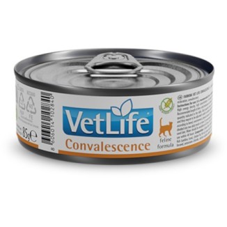 Farmina Vet Life Convalescence feline umido