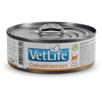 Farmina Vet Life Convalescence feline umido