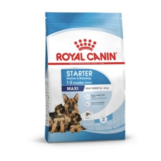 Royal Canin Maxi Starter mother and babydog