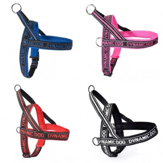 Camon Pettorina in neoprene Dynamic