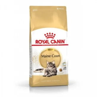Royal Canin Maine Coon 31