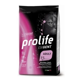Prolife Exigent Cat (cinghiale