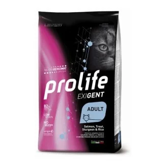 Prolife Exigent Cat (salmone