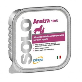 DRN Solo anatra