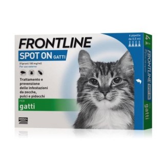 Frontline spot on per gatti