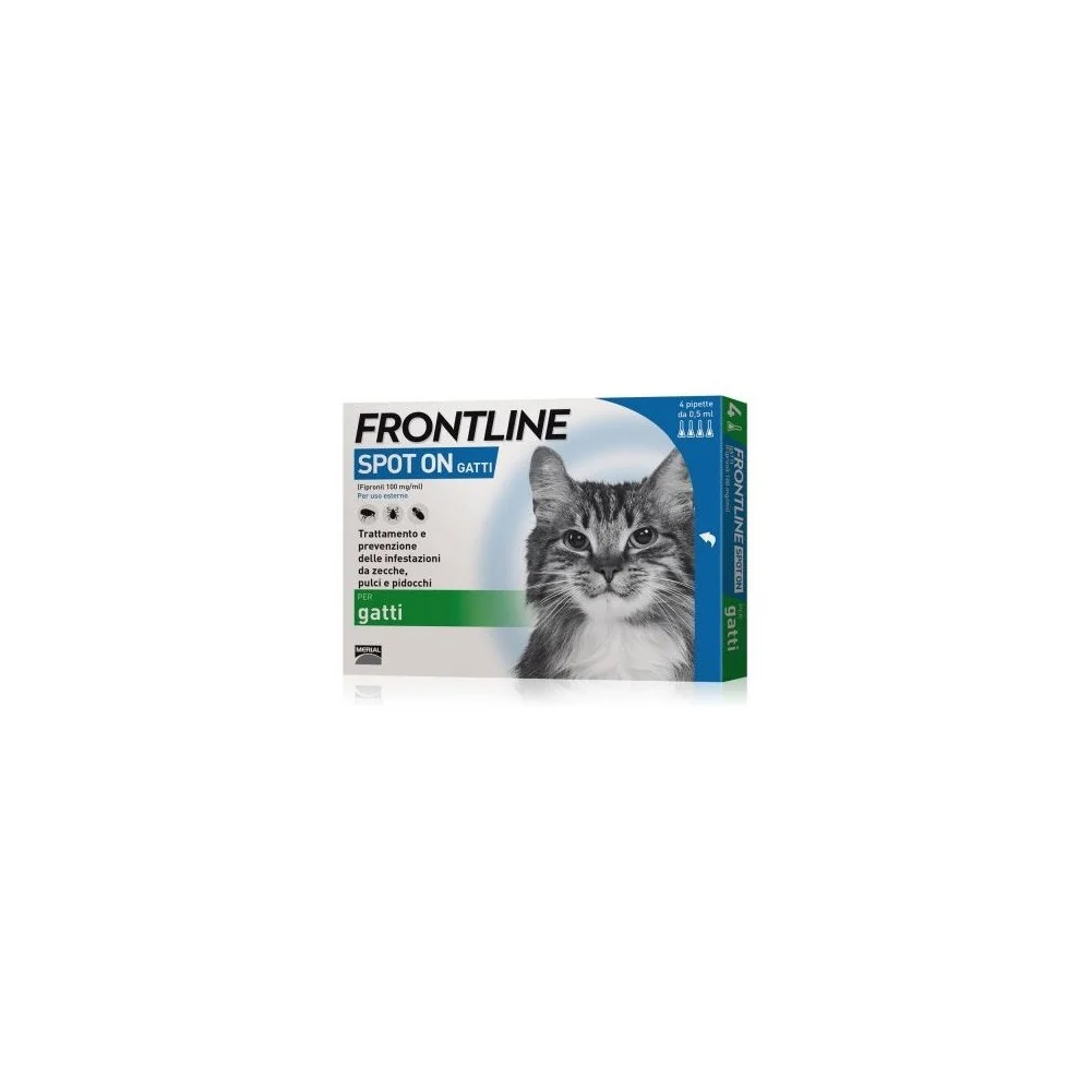 Frontline spot on per gatti