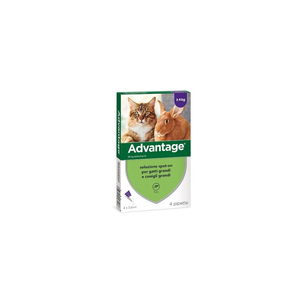 ElancoElanco Advantage 80