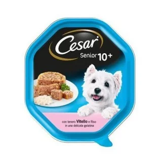 Cesar Senior 10+ con vitello