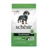 SchesirSchesir Small maintenance (agnello)