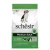 SchesirSchesir Medium maintenance (agnello)