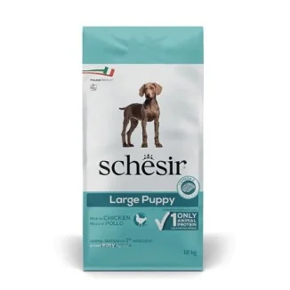 Schesir Large puppy (pollo)