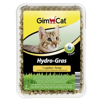 Gimborn Erba per gatti Hydro Gras