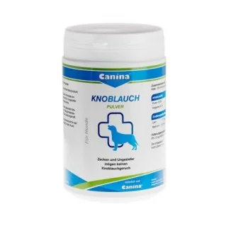 Canina Knoblauch
