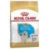 Royal CaninRoyal Canin Golden Retriever Junior