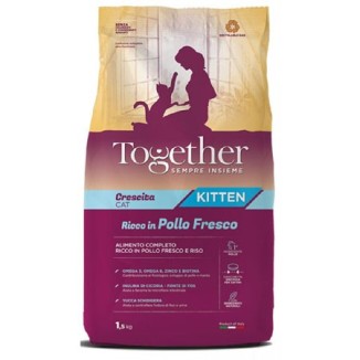 Together Kitten (pollo con riso)