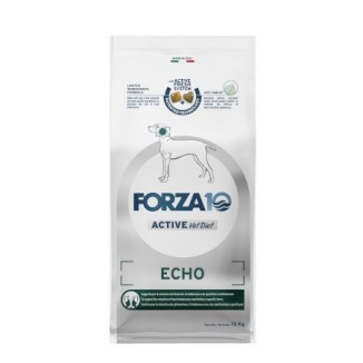 Forza 10 Echo active