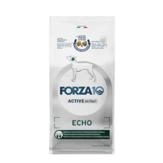 Forza 10 Echo active