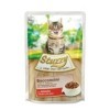 Stuzzy Bocconcini per gatti (manzo)