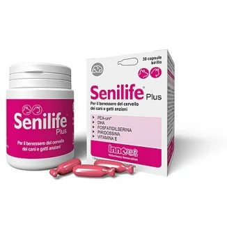 Innovet Senilife Plus