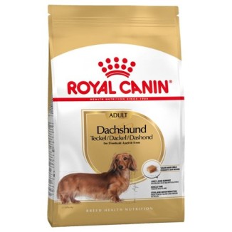 Royal Canin Bassotto Adult