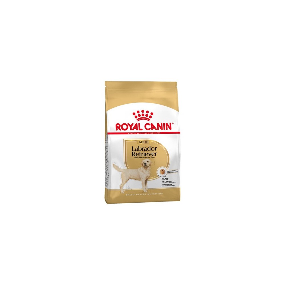 Royal Canin Labrador Retriever Adult