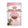 Royal CaninRoyal Canin Kitten Sterilised umido