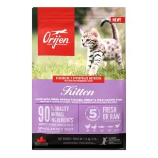 Orijen Kitten