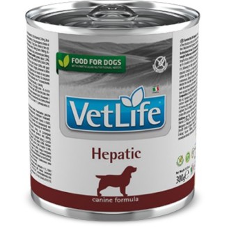 Farmina Vet Life Hepatic canine umido