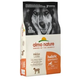 Almo Nature Holistic Adult Large Dog (agnello)