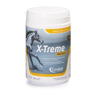 Candioli X-Treme Muscle