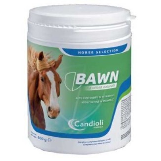 Candioli Bawn