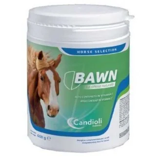 Candioli Bawn