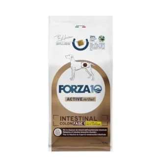 Forza 10 Intestinal Colon active fase 1 (agnello e sorgo)