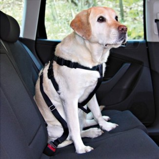Trixie Imbragatura per automobile