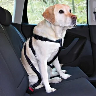Trixie Imbragatura per automobile