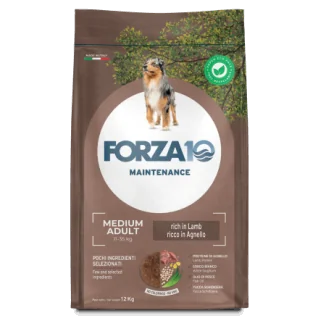 Forza 10 Maintenance Medium all'agnello e riso