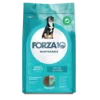 Forza 10Forza 10 Maintenance Maxi al pesce
