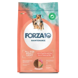Forza 10 Maintenance Light
