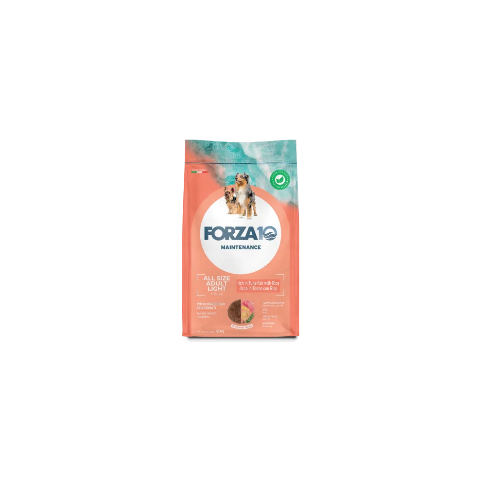Forza 10Forza 10 Maintenance Light